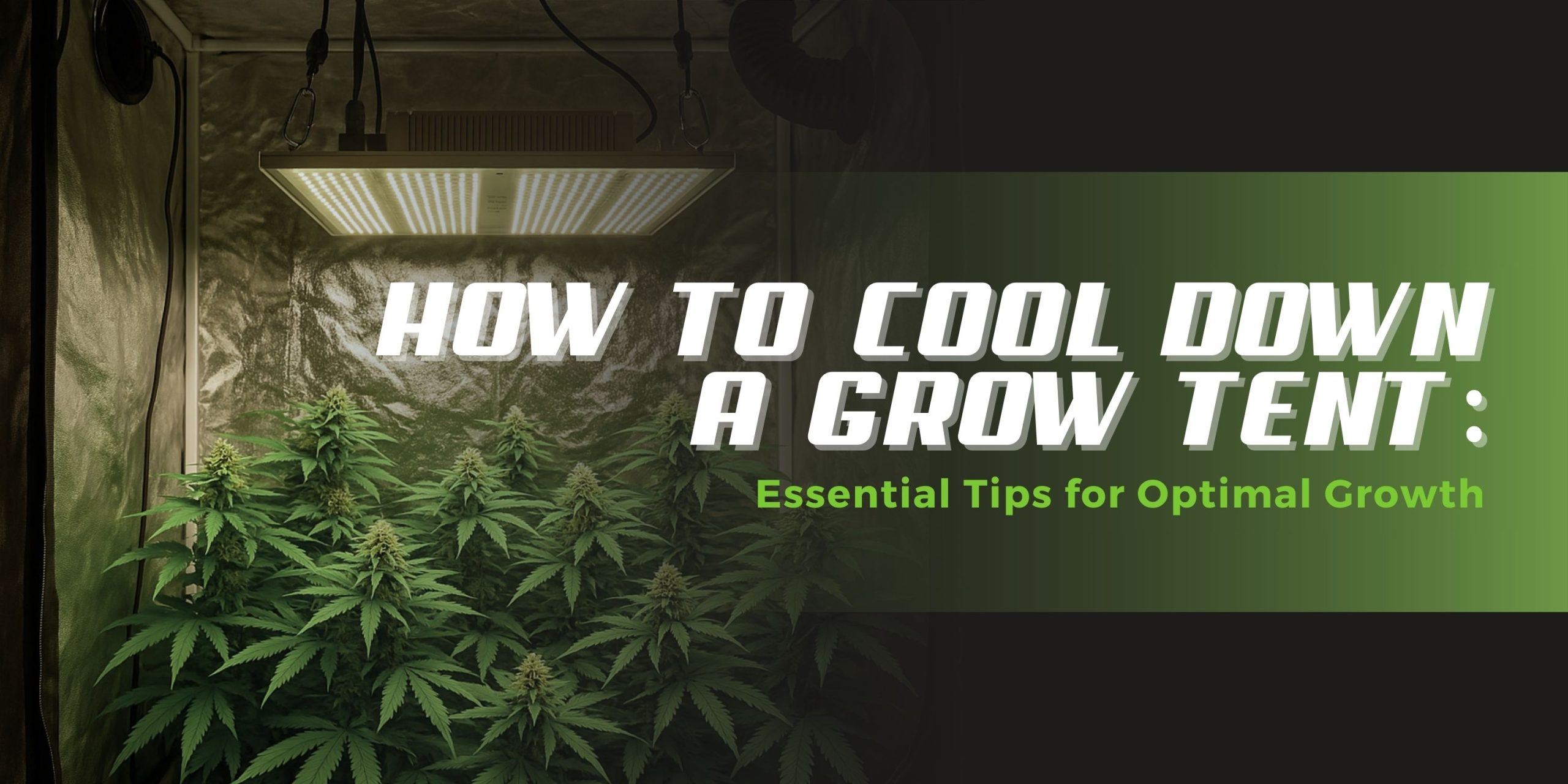 How to Cool Down a Grow Tent: Essential Tips for Optimal Growth
