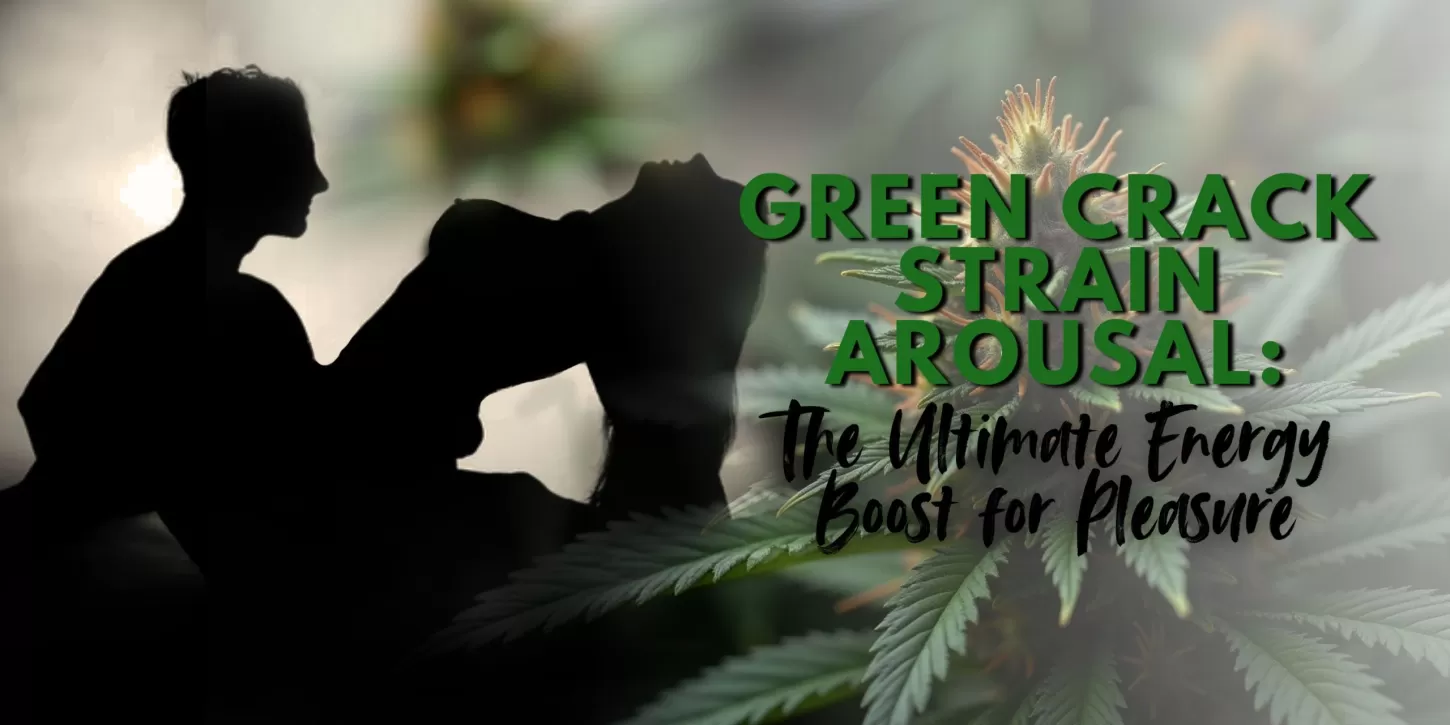 Green Crack Strain Arousal: The Ultimate Energy Boost for Pleasure