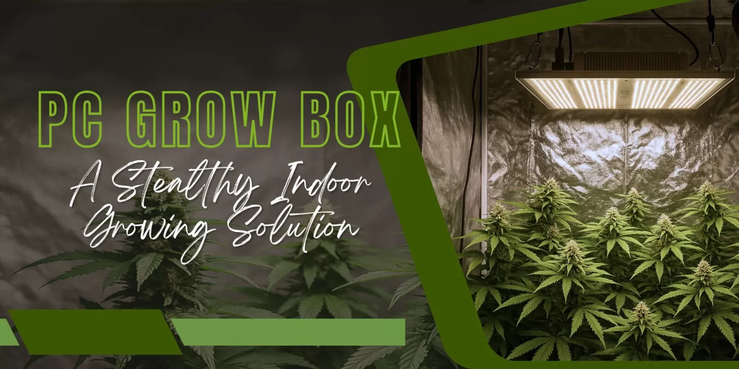 PC Grow Box – A Stealthy Indoor Growing Solution