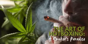 The Art of Hotboxing: A Smoker’s Paradise