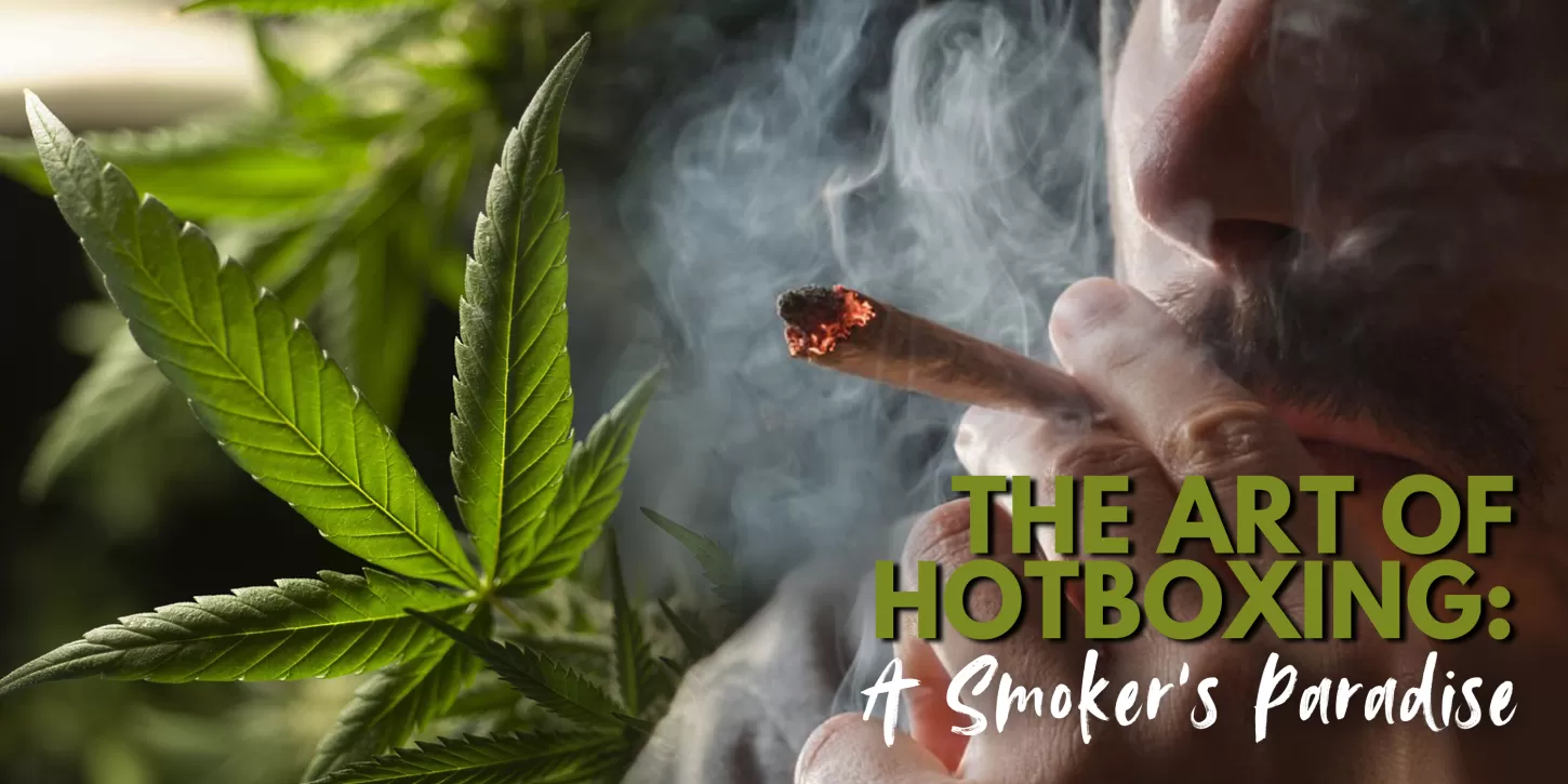 The Art of Hotboxing: A Smoker’s Paradise