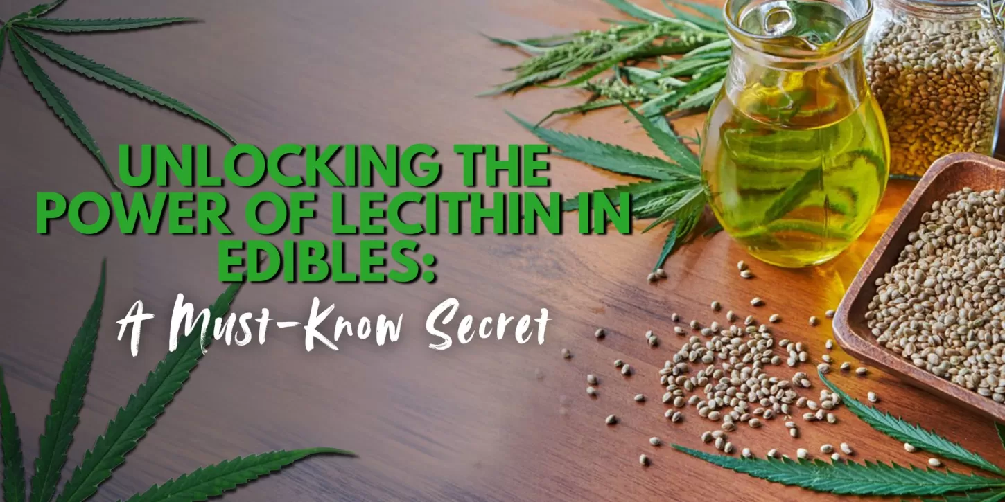Unlocking the Power of Lecithin in Edibles_ A Must-Know Secret