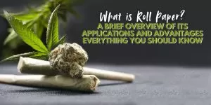 A Brief Overview of Its Applications and Advantages Everything You Should Know