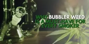 Why Bubbler Weed Is a Must-Have for Every Smoker