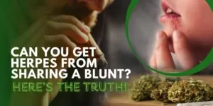 Can You Get Herpes from Sharing a Blunt? Here’s the Truth