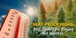 Heat-Proof Highs: Best Strains for Blazing Hot Weather