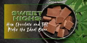Sweet Highs: How Chocolate and THC Make the Ideal Buzz