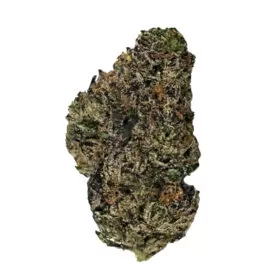 Black Ice Mintz Flower