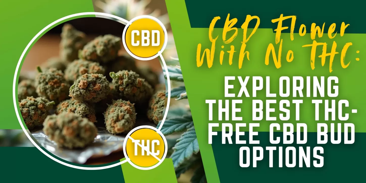 CBD Flower With No THC: Exploring the Best THC-Free CBD Bud Options