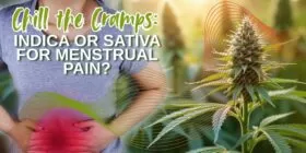 Chill the Cramps: Indica or Sativa for Menstrual Pain?