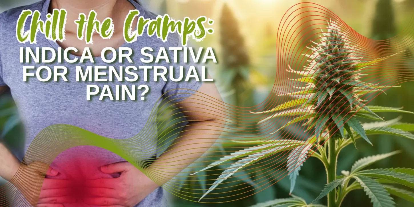 Chill the Cramps: Indica or Sativa for Menstrual Pain?