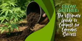 Grow Greener: The Ultimate Guide to Compost for Cannabis Success