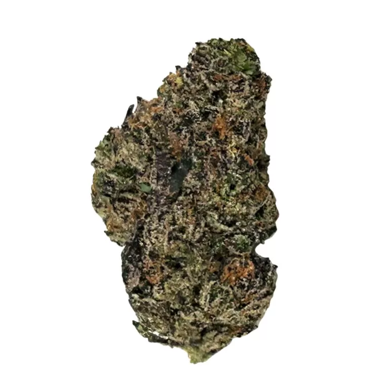 Lemon Cherry Gelato Flower
