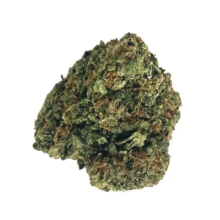 Rainbow Runtz Flower