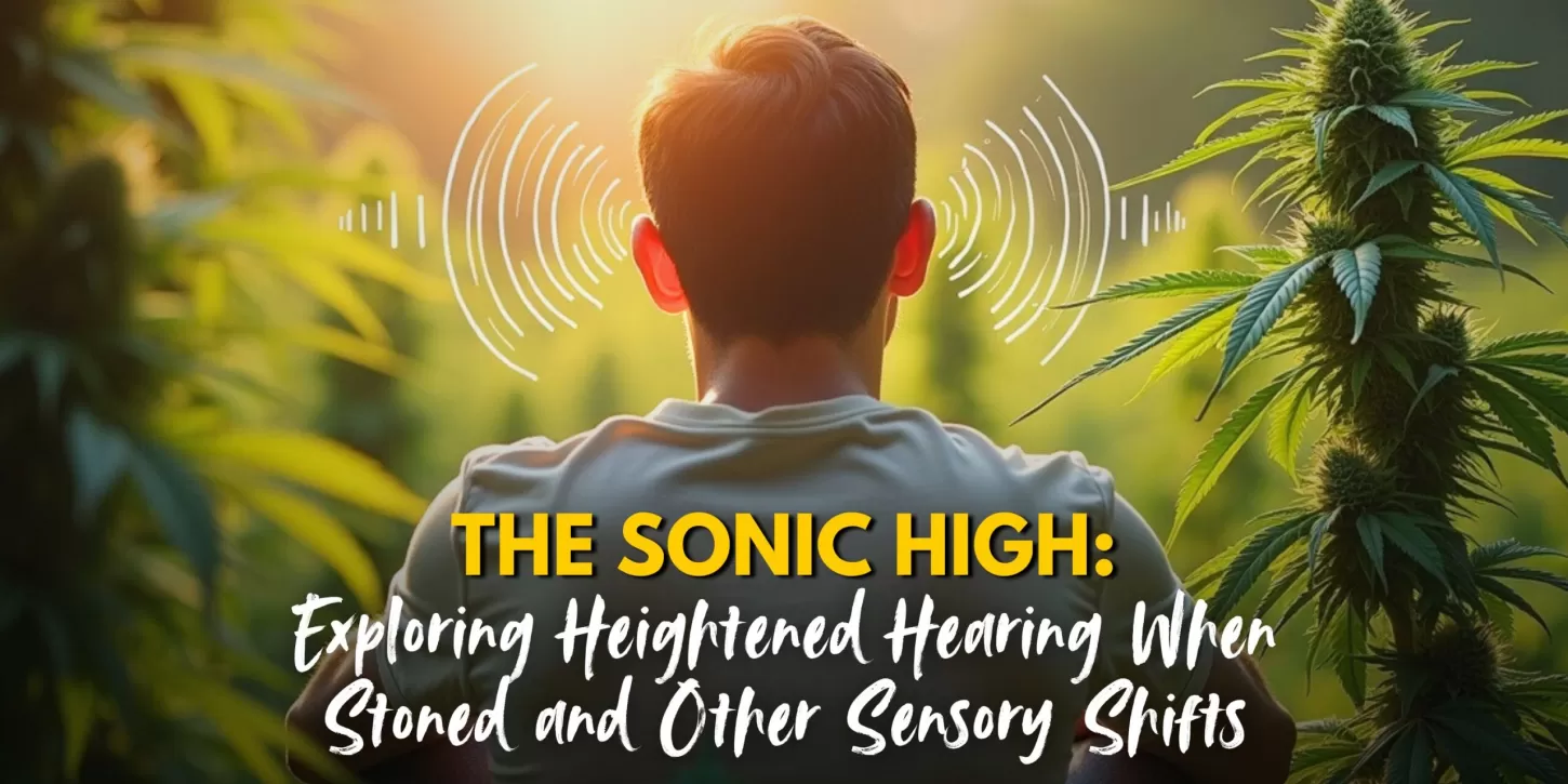 The Sonic High: Exploring Heightened Hearing When Stoned and Other Sensory Shifts