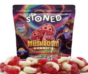 Water Melon Flavor Mushroom Gummies