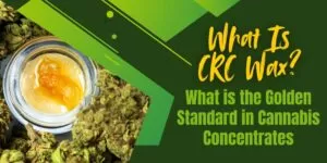 What Is CRC Wax? What is the Golden Standard in Cannabis Concentrates