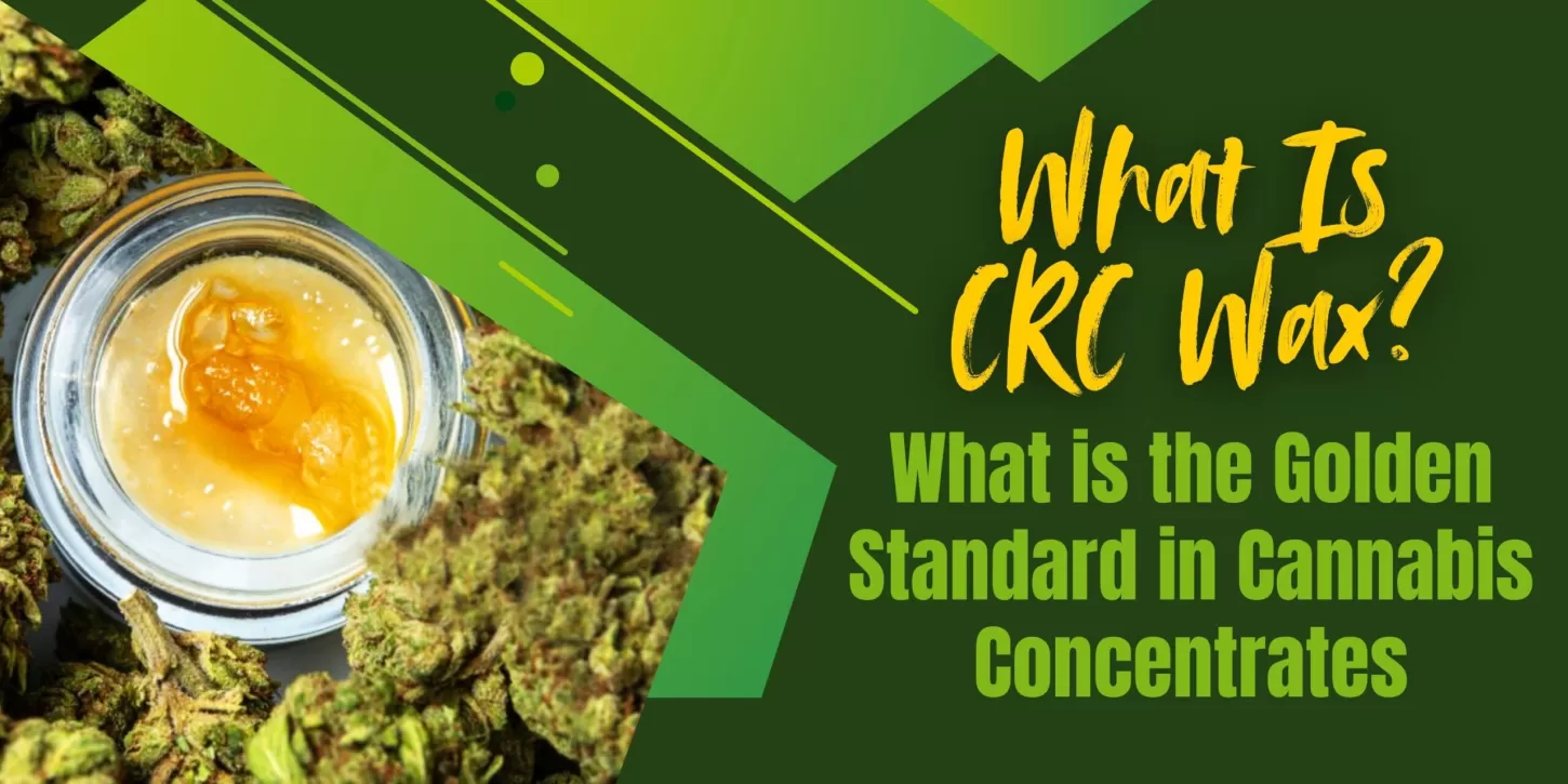 What Is CRC Wax? What is the Golden Standard in Cannabis Concentrates