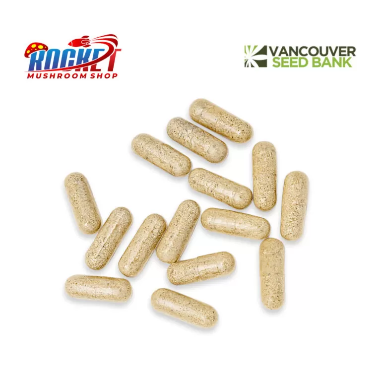 Magic Mushroom Mexican Capsules