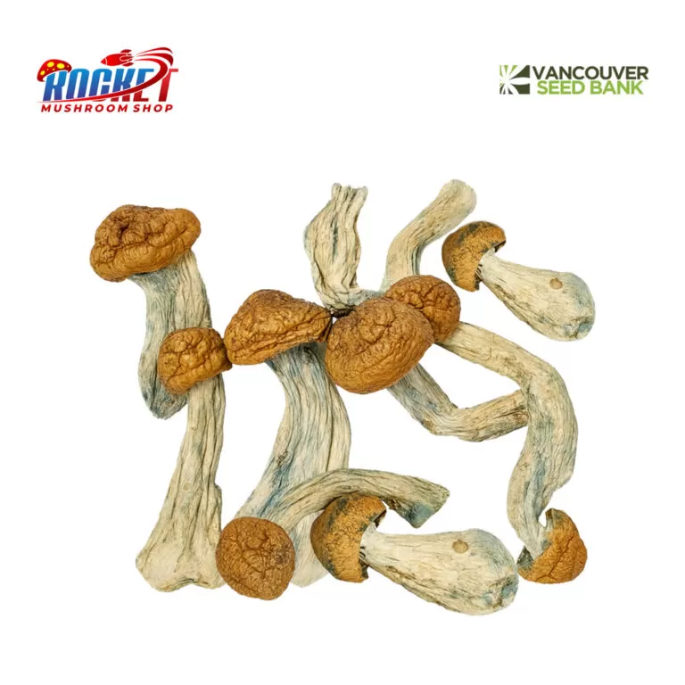 Penis Envy Raw Mushrooms