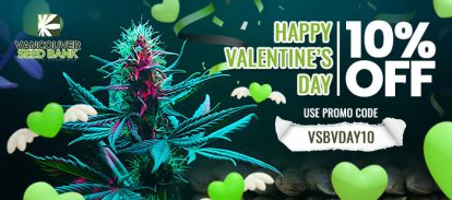 Vancouver Seeds Bank Valentines Day Promo